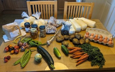 The side-of-the-road-food-challenge
